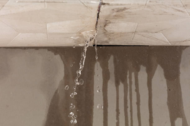 Professional Water Damage Repair technician working in Pleasureville, PA